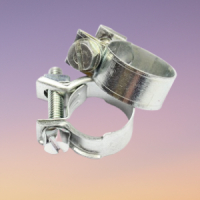 Product Image for Slangklämma Mini 8 - 10 mm 10-pack                                    